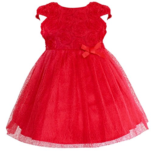 iiniim Baby Girl's Rose Flower Wedding Princess Dress Red 3-6 Months