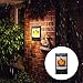 Produktbild bloatboy  Halloween LED Solar Algen Wandleuchte Wasserdichtes Landschaftslicht Outdoor Garten Gartenlicht Nachtlicht Party Hanging Decor (B)