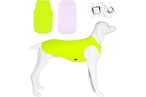 Kickred 2 Pack Hund Kühlung Shirts, EIS Haustier Weste Hund Kleidung für Instant Kühlung, ultraleichte atmungsaktive ärmellose T-Shirts für mittlere Hunde Junge Mädchen (Violett+Grün, XXL)