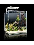 SHRIMP SET SMART 2 LED 20 WHITE AQUAEL CARIDINE PESCI PIANTE ACQUARIO COMPLETO