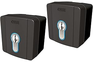 Kit n.2 Selettore a chiave da esterno con cilindro serratura DIN Came SELD1FDG - 8K06SL-004