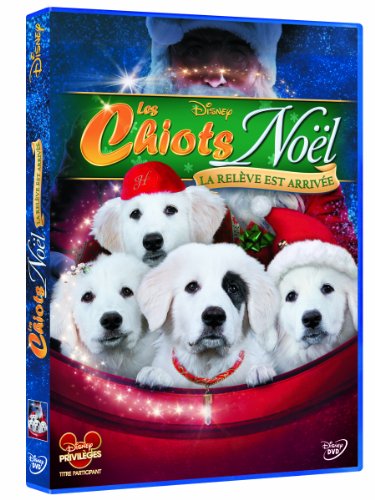 Les  chiots Noël : la relève est arrivée