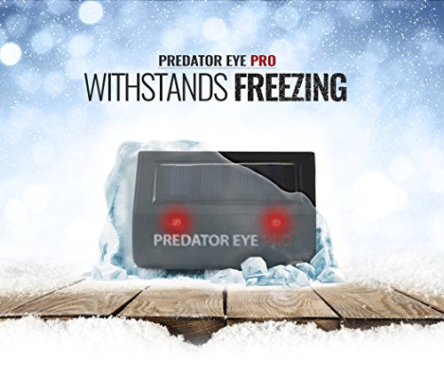 ORIGINAL Aspectek Predetor Eye PRO, MARDERSCHRECK, VOGELSCHRECK, Räubtier u. Fressfeind LED Augen zum ABSCHRECKEN VÖGEL, WILDTIERE, KATZEN, MARDER, HIRSCHE u. MÄUSE für GARTEN, BALKON u. TERASSE - 6