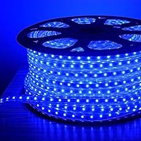 Errol LED Strip Rope Light,Water Proof,Decorative led Light with Adapter. (Blue, 5 Meter)