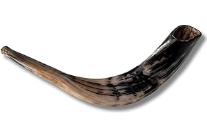 Spring Nahal Authentischer und koscherer polierter Ramhorn-Schofar aus Israel (45,7 cm – 50,8 cm)