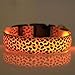 Produktbild Evtech (tm) Leopard-Druck Nacht Safety Lead-Kragen-Hundekatze-Haustier-Halsband verstellbar mit grellem Licht-up Gelb - XL