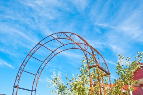 Rosenbogen aus Metall 12mm Massiveisen! B: 140cm Roheisen / Rost – sehr stabil - 4