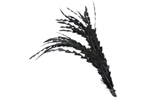 Fearafts Cola de plumas de gallo de coque para manualidades de 10/12 pulgadas Plumages de boda, fiesta, carnaval, decoración de joyas, accesorios para hacer joyas, paquete de 50 piezas (negro natural)