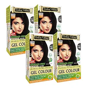 INDUS VALLEY Damage Free Gel Colour For Hair Black 1.0, Ammonia Free Hair Color - Set of 4