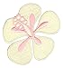 Produktbild Hibiskus Blüte Vanille-Gelb Aufnäher Bügelbild