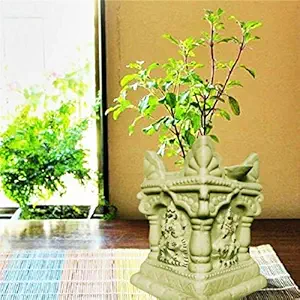 Niyara FigurineTulsi Large Ceramic Pots Planters Medium Sized for Indoor, Outdoor ,Home Office ,Pooja Plants Gamla(Color- Cream)(12 inches-30 cms)