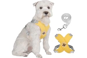 FEimaX Szelki dla małych i średnich psów ze smyczą, regulowane szelki dla psa zapobiegające ciągnięciu siatki miękka wygodna szczenięta oddychająca kamizelka odblaskowa dla zwierząt domowych kotów