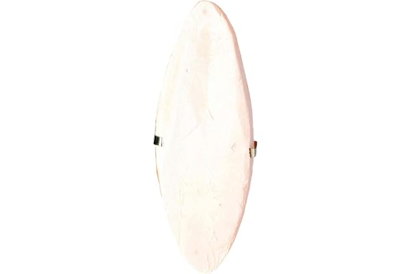 Trixie Os de seiche - 16 cm, Naturel