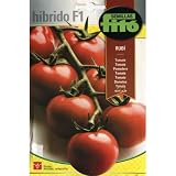 tomate hibrido maya Siembra: en semillero. Sembrar las semillas a 1 cm de profundidad. Trasplante: cuando las plantitas midan unos 15 cm. Considerar 40 cm entre plantas y 80 cm entre líneas. Utilizar tutores para aguantar la planta
