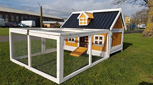 COCOON HÜHNERSTALL HÜHNERHAUS ECO COCOON HÜHNERSTALL HÜHNERHAUS MIT NISTKASTEN (2 PLAEZTE) BIS ZU 6 HÜHNER MIT LEICHT REINIGEN PLASTIKDACH - BLECHWANNE - RAMPE - SITZSTAEBE - INTERNER SICHERER NISTKASTEN MIT LAUFGEHEGE IN WEISS - 2