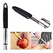 Price comparison product image Altsommer Newest Fruit Core Remover Tool,Stainless Steel Fruit Apple Pear Core Remover Tools Kitchen Tools (Black)