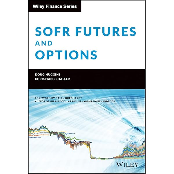 FX Options and Smile Risk (The Wiley Finance Series) eBook