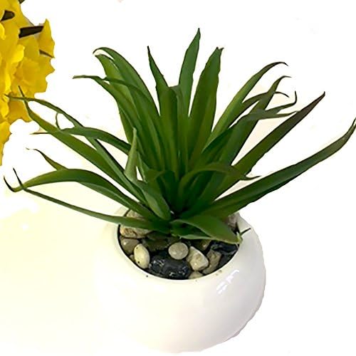 Artificial Succulent in White Pot 14cm