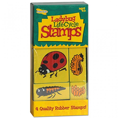 Preisvergleich Produktbild Lebenszyklus-Stempel - Marienkäfer
