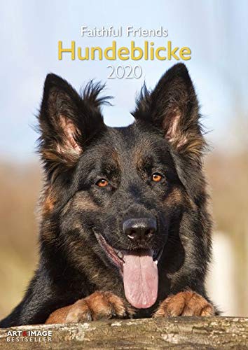 Télécharger Hundeblicke 2020 Wandkalender: Faithful Friends livre En ligne