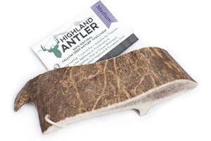 Highland Antler - Natural Fallow Antler Dog Chew. Pack of 1x Medium (75g - 150g) Naturally Shed Fallow Deer Antler, Long Lasting Dog Chew Bone With Calcium And Minerals (Shape may vary)