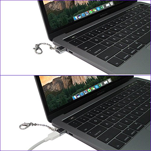 USB C Adapter [2 Pack], 4U USB C zum Micro USB Buchse Adapter mit Schlüsselanhänger + USB 3.1 Typ C auf USB 3.0 Typ A Female OTG Adapter Konverter Mit Aluminium Gehäuse für MacBook Pro 2016, Google Chromebook Pixel, Galaxy S8/S8+, Mi 4C, Nokia N1, Google Nexus5x Nexus6P, Microsoft Lumia950 Lumia950XL usw. -Silber - 4