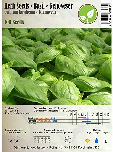 Herb Seeds - Basil/Ocimum basilicum - Different Varieties(Basil - Genoveser)