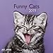 Produktbild Funny Cats 2019 - A&I Broschürenkalender  -  30 x 30 c,m