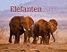 Elefanten 2017 by