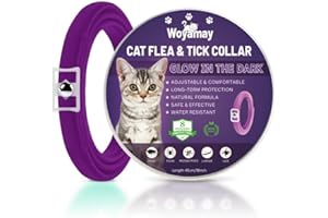 Woyamay Collar Antiparasitario Gatos, Luminoso Collar Antipulgas y Garrapatas Gatos Impermeable e Ajustable Collar Antipulgas Gatos, 8 Meses de Protección, Collar Gato contra Pulgas y Piojos, Púrpura