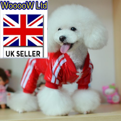 ADog-ClothesSport-Pet-clothes-Winter-Spring3-coloursplease-let-me-know-your-chosen-colour-Red-Yellow-Black-XXL