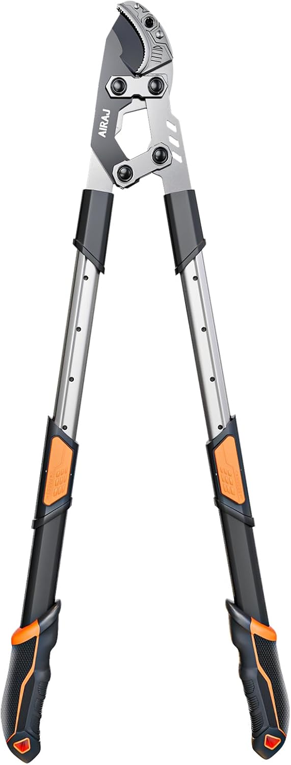 Vue 10