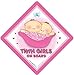 Twins on board Car Sign, Twin Girls On Board Sign, Pink Peapod, Twins on Board Car Sign, Twins on board Sign, Baby on Board Sign, baby on board, decal, bumper sticker, Twins Sign