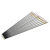 12tlg Fiberglaspfeile Pfeile Fiberglaspfeil Recurvebogen...