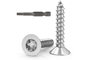 Dayalo Förpackning med 100 försänkta Torx-skruvar M4 x 12 för trä, rostfritt stål A2 V2A, full gänga, med skruvmejselspets