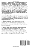 Image de Jinn Magick: How to Bind the Jinn to do Your Bidding