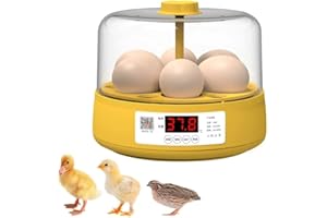 OUYOLAD Egg Incubator Chicken Incubator LED Digital Screen Poultry Hatcher Incubator for Eggs Automatic Turning Intelligent Digital Temperature Control Gift Set for Kids 6 Eggs