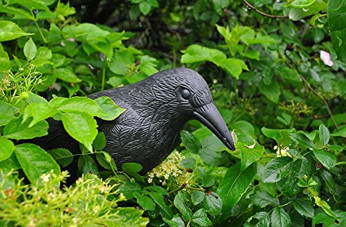 Taubenschreck 40 cm Vogelschreck Krähe Rabe Taubenabwehr Schreck #783 - 5