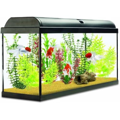 Amazon.co.uk 120 litre fish tank