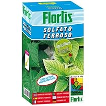 Solfato Ferroso Flortis 1000 G - Concime Contro Clorosi E Muschio, Per Agricoltura Biologica - Foto 6