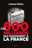 Ces 600 milliards qui manquent à la France. Enquête au coeur de l'évasion fiscale