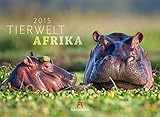 Image de Tierwelt Afrika 2015 (Tierwelten)