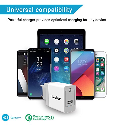 iVoler Quick Charge 3.0 Type C 18W Caricabatteria USB da Muro con Cavo 2 in 1 Tipo C e Micro USB Cavo Ricarica per Samsung Galaxy S9/S9 Plus/S8/S8+/S7/S7 Edge/ S6/S6 Edge/+/Note 8/5/4/Edge, LG G6/G5/G4, Asus Zenfone 4/3/2, Android Smartphone, Tablet, iPhone, iPad, e gli altri dispositivi USB (Bianco)