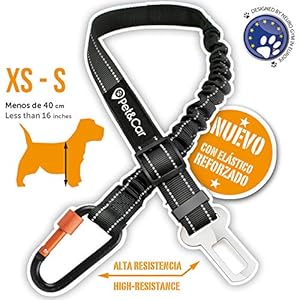 PET & CAR Cinturón de Seguridad Extensible para arnés de Perro. Previene Lesiones de Mascota pequeña en Coche por su Correa elástica, mosquetón Resistente y Ligero con Cierre de Seguridad (XS – S)