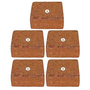 GATE GARDEN Cocopeat for Garden 1kg Cheapest & Spectacular Quality 