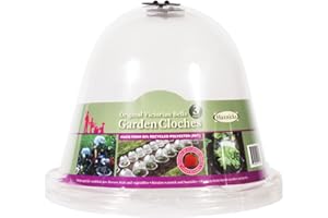 TIERRA GARDEN Haxnicks 3 x Medium Original Victorian Bell Garden Cloche Plant Protection | Growing Vegetable | Specimen Plants | Pack of 3| Specimen Plants | Pack of 3 | Transparent, 26 x 34 cm | BELL050101