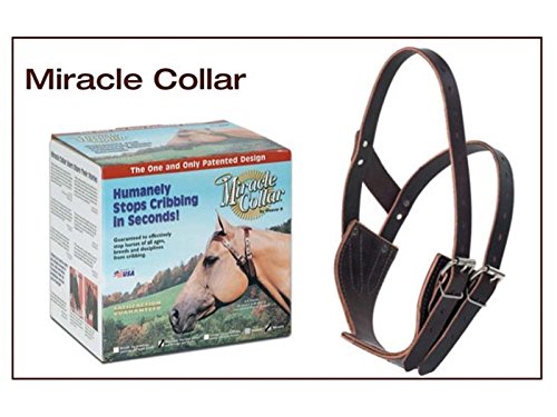 Weaver-Miracle-Collars-Leather-Cribbing-Collars
