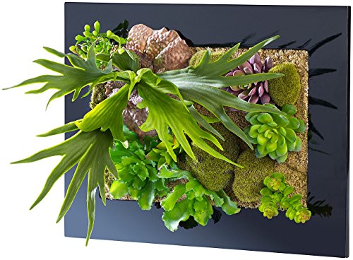 Carlo Milano Vertikaler Wandgarten Nora, 40 x 30 cm