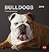 Bulldogs Postkartenkalender - Kalender 2018 by 