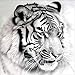 Produktbild DIY 5D Diamond Painting, Crystal Rhinestone Embroidery Pictures Arts Craft for Home Wall Decor Black White Tiger 11.8 x 11.8